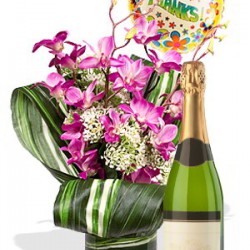 Dendrobium Orchid Package , Sparking wine and balloon
