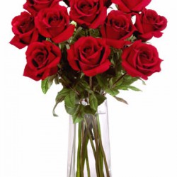 12 Long Stem Premium Roses Vase Bouquet