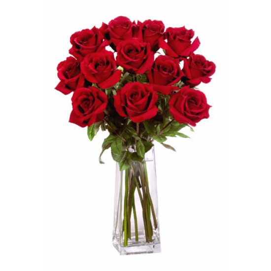 12 Long Stem Premium Roses Vase Bouquet