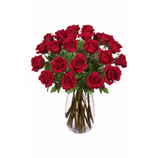 24 Long Stem Roses Bouquet