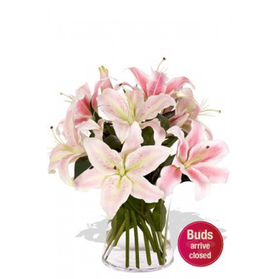 4 Oriental Lily in Vase