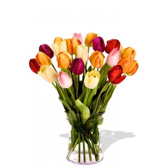 24 Mixed Tulips Bouquet