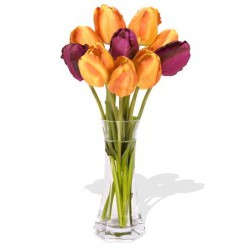 10 Mixed Tulips Bouquet