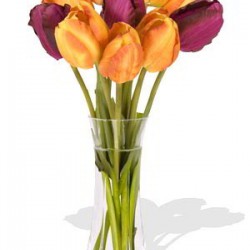 10 Mixed Tulips Bouquet