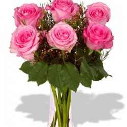 6 Rose Vase Bouquet