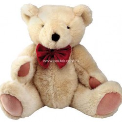 Lovely Teddy Bear 12 Inches Height