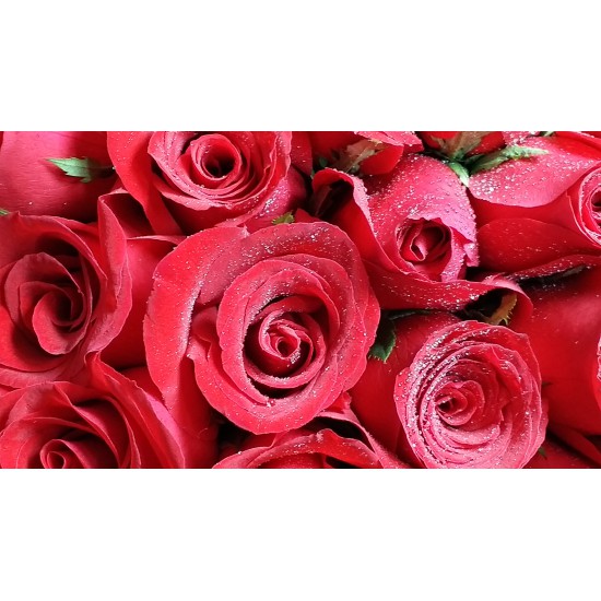 30 Stems Red Roses in a Round Gift Box