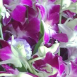 Thailand Orchids Bouquet