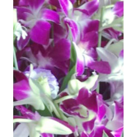 Thailand Orchids Bouquet